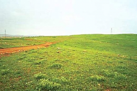 2B arazilerinin satış tasarısı TBMM'ye sunuldu!