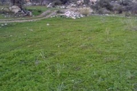 Karacabey Belediyesi'nden 827 bin TL'ye iki arsa!