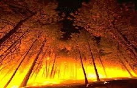  Balkanlar'da orman yangınları durdurulamıyor!