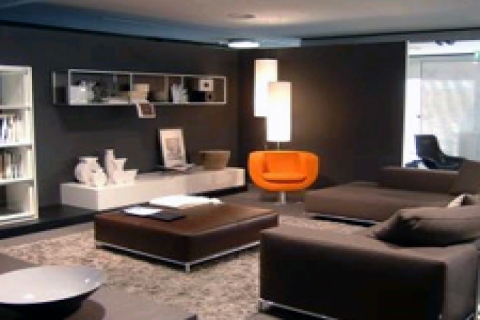 2010 mobilyacıların yılı olacak