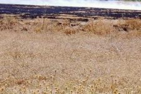 Milli Emlak Kayseri'de ham toprak satacak