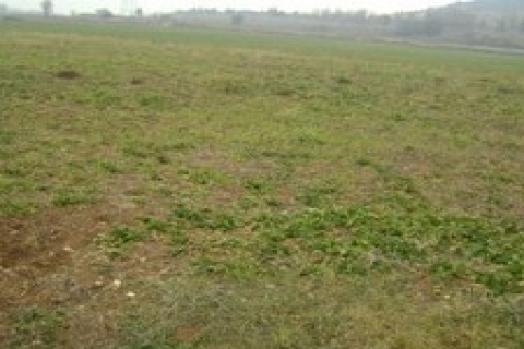 şanlıurfa Defterdarlığı 1,4 milyon TL'lik iki arsayı satışa çıkardı!