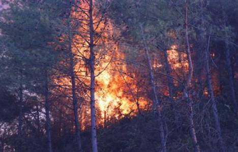  Kumluca'daki yangında 5 hektar alan yandı!
