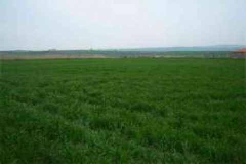 T. Ticaret Bankası'ndan satılık 3 gayrimenkul!