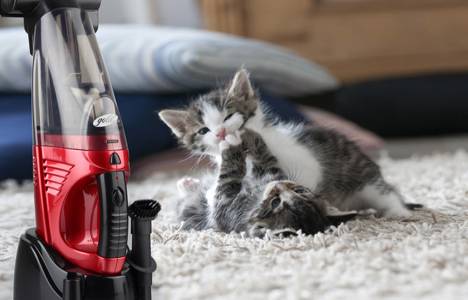  GoldMaster şarjlı el süpürgesi ev süpürmek kolaylaşıyor!