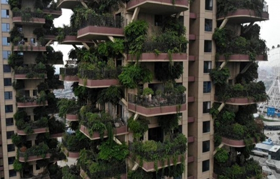 Yeşil konut projesi, felakete dönüştü! Bitkiler balkonları yuttu!