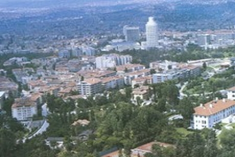 TİGEM Ankara 'da mesire yerini kiraya verecek!