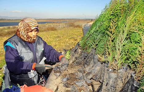İzmir Tahtalı Barajı nı korumak için 2.5 milyon lira harcandı!