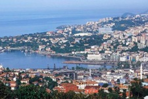 Airfel 'in cirosu 2010 'da yüzde 37 arttı!