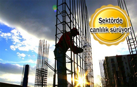 Kur ve faizdeki yükseliş müteahhidi durduramadı!