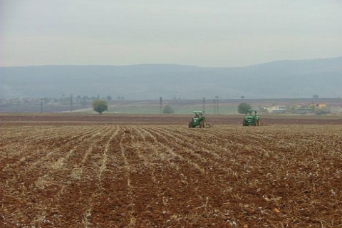  Tekirdağ Çorlu'da 34.7 milyon TL'den satılık tarla!