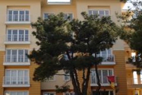 Dumankaya Botanik 39 bin TL'den satılacak!