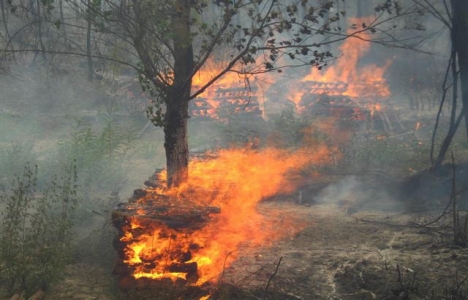  Bilecik'te yangın çıktı!