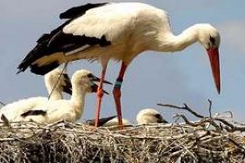 Gurabahane-i Laklakan 15 Ocak günü açılacak!