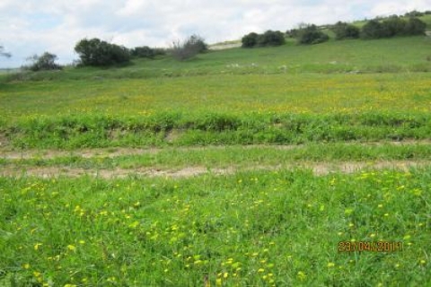  Kadastro çalışmasına itiraz süresi 10 yıldır! 