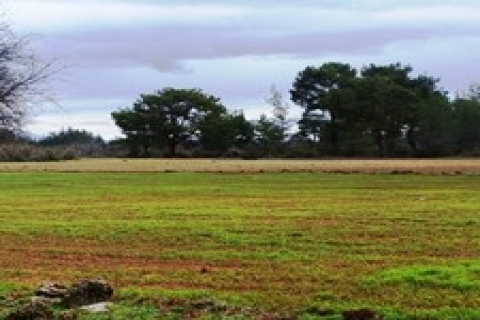 Bursa'da icradan satılık 5 bin metrekare arsa!