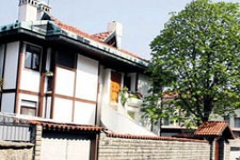 Türker İnanoğlu'nun Boğaz'daki yalısını soymaya çalıştılar!