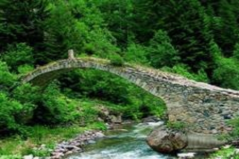 İkizdere Vadisi'ndeki HES projeleriyle vadi yok edilmek isteniyor