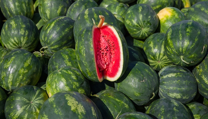 Karpuzun kilosu 35, dilimi 51 TL'den satılıyor! Fiyatlar yüksek gelince dilim karpuza talep arttı! 