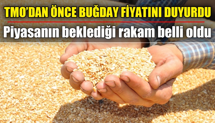 Buğday alım fiyatını TMO'dan önce duyurdu! Piyasanın beklediği rakam belli oldu