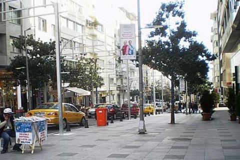 Dolmabahçe ile Beşiktaş arasındaki hastalıklı anıt ağaçlar kesilecek!