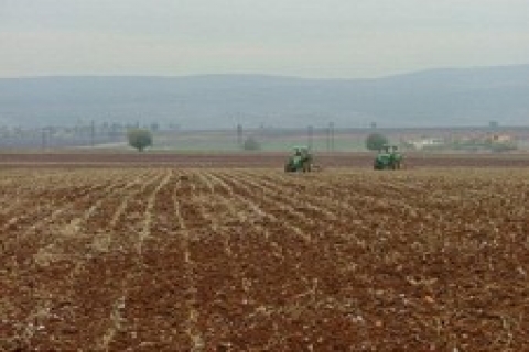 Ödemiş'de icradan 657 bin TL'ye satılık tarla!