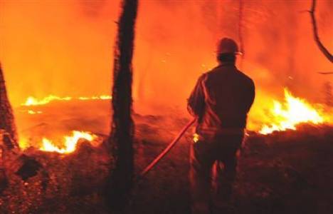 Bodrum'da yangın çıktı!