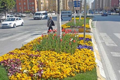 Beylikdüzü'nde peyzaj çalışmaları hızlandı!