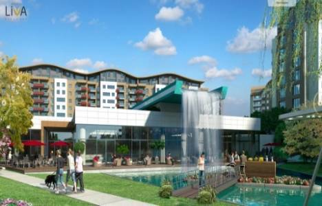 Liva Turkuaz iletişim!