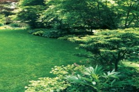 Botanika bahçe bakımı ile ilgili merak edilenleri yanıtlıyor!