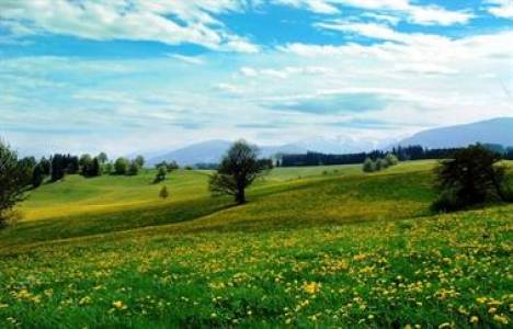 Döşemealtı Belediyesi'nden satılık 2 arsa 8 milyon 400 bin TL! 