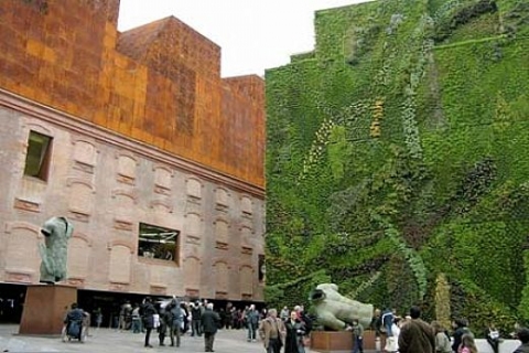 GC Mimarlık Kurucusu Şebnem Gürcün: 2012'de dikey bahçeler boy gösterecek!