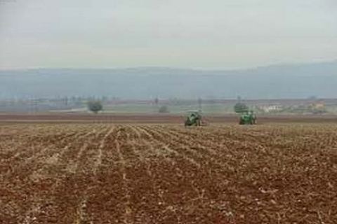 Edirne Vakıflar'dan kiralık 17 tarla! 533 bin TL'ye!