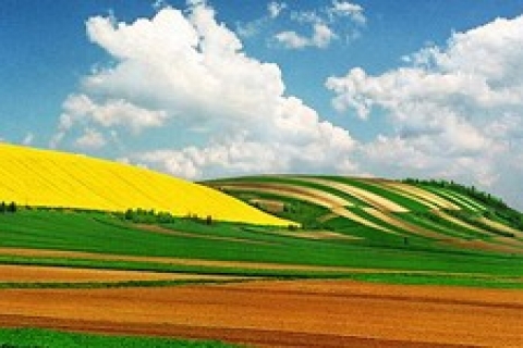 Büyükçekmece Belediyesi, 31.4 milyon TL 'ye arsa satıyor!