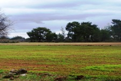 Kayseri'de 1 milyon 573 TL'ye satılık arsa!