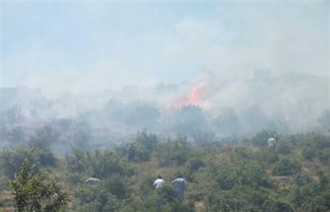Kocaeli Çamlıtepe'de orman yangın çıktı!