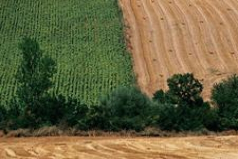 Vakıflar'dan İstanbul ve Çorlu'da 64 adet kiralık gayrimenkul