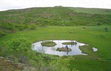  Bingöl Turna Gölü'ndeki yüzen adalar koruma altına alındı!