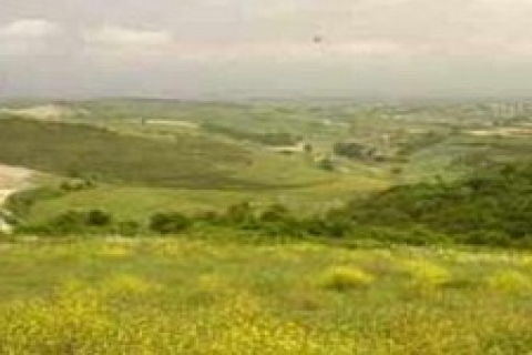 Ordu Defterdarlığı'ndan 49 yıllığına tesis arazisi!