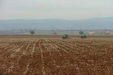 Niğde Çamardı'da 1 milyon TL'ye icradan satılık tarla!