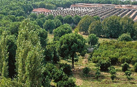 Aydın Tekstil arazisinde söz halkın!