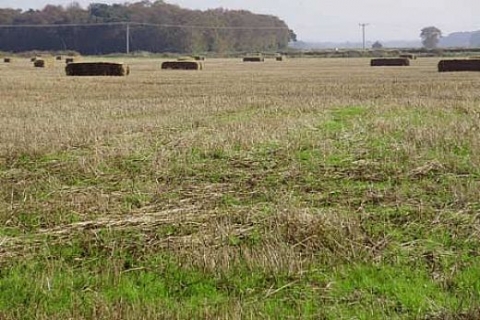 Çetinsaya-Özkök ortaklığı ile Özaksu Gayrimenkul Yatırım şirketi kuruldu!
