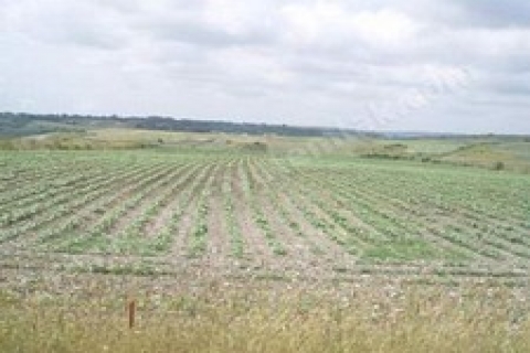 Bodrum 'da 7 milyon 706 bin 250 TL 'lik taşınmaz satılacak!