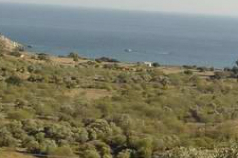 Antalya Defterdarlığı Hazine arazilerine sahip çıkıyor