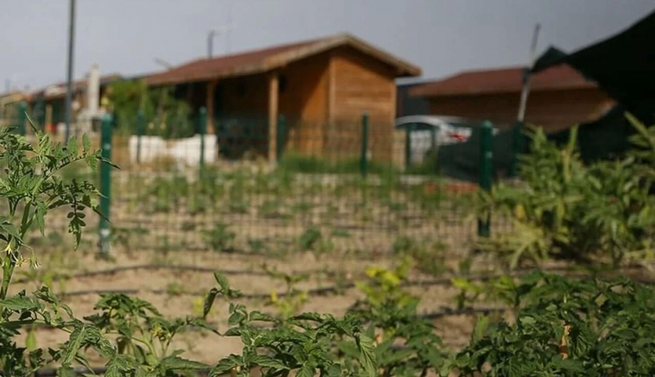 Arsa almak isteyenlere müjde! Birikmişi olanlar hemen Milli Emlak’a koşun! İşte detaylar!