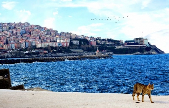 Emlak Konut GYO Zonguldak Ontemmuz kentsel dönüşüm projesi için imzalar atıldı!
