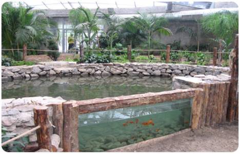  Kocaeli'de hayvanlar için Doğal Hayat Parkı yapılacak!