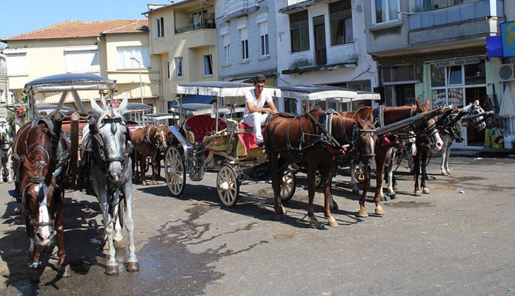 İstanbul Adalar da imar planı sorunu çıkmaza girdi! Halk derdini anlatıyor, belediyeler ne diyor?