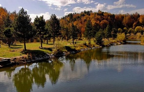 Kütahya Topuk Yaylası ''tabiat parkı