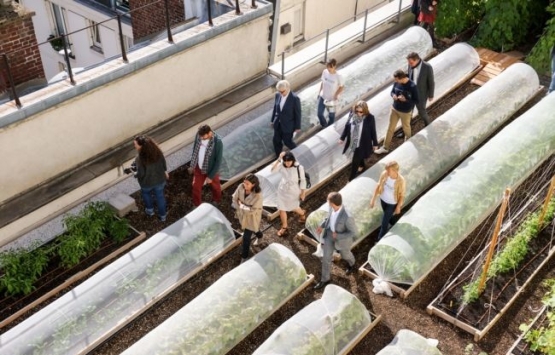 Paris çatılarında tarım!